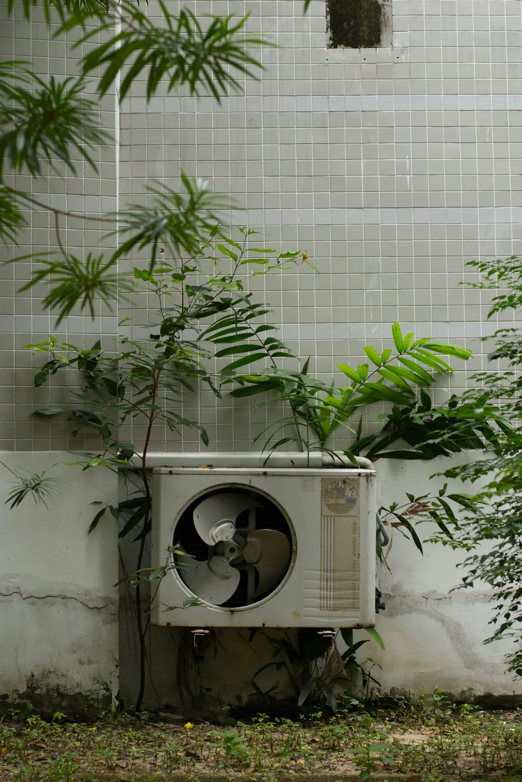 Outdoor AC condenser unit mounted against a wall beside green plants
